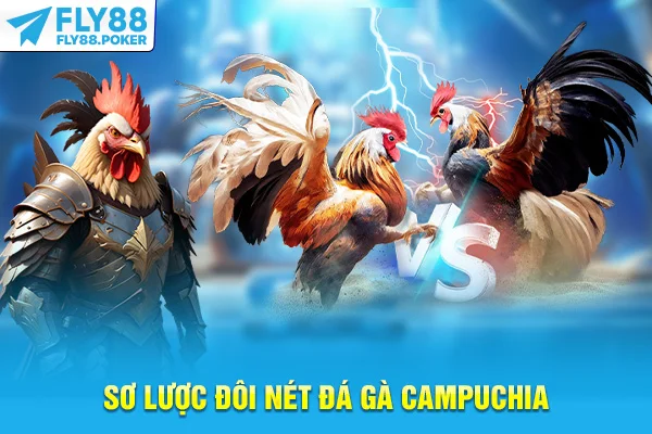 Sơ lược đôi nét đá gà Campuchia